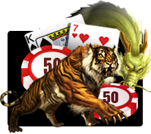 Dragon Tiger Hot Pick KISS711