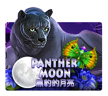 Panther Moon Hot Pick KISS711