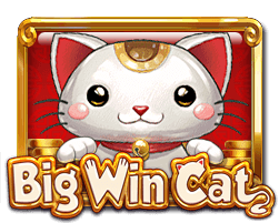 Big Win Cat Hot Pick KISS711
