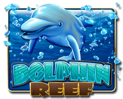 Dolphin Reef Hot Pick KISS711