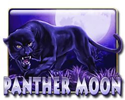 Panther Moon MEGA888 KISS711