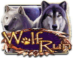 Walf Run Hot Pick KISS711