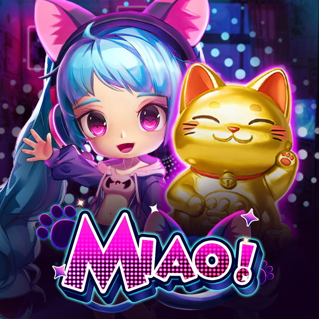 Miao! Hot Pick KISS711