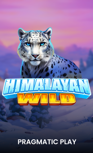Himalayan Wild Hot Pick KISS711